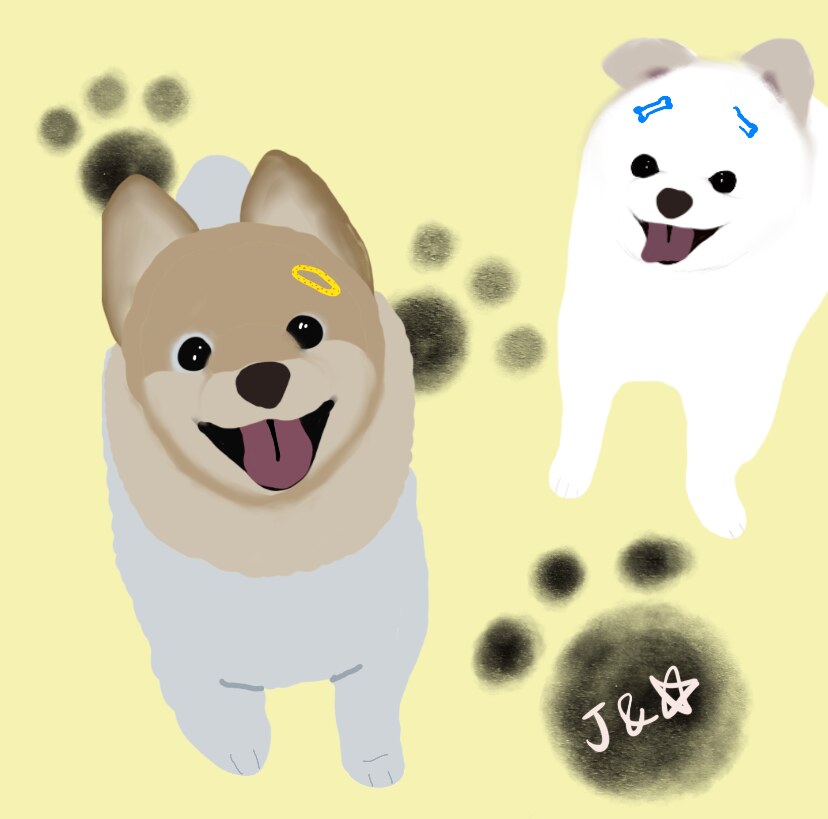 Dogs
